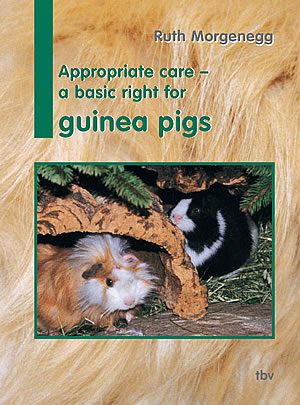 cover book guinea pigs