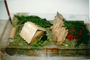 coomercial vivarium