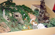 suitable habitat